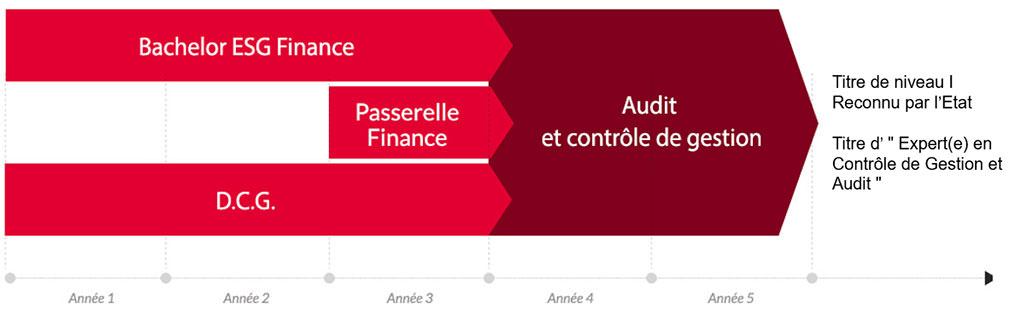 Mastère Audit et Contrôle de Gestion Schéma Mastère Audit et Contrôle de Gestion