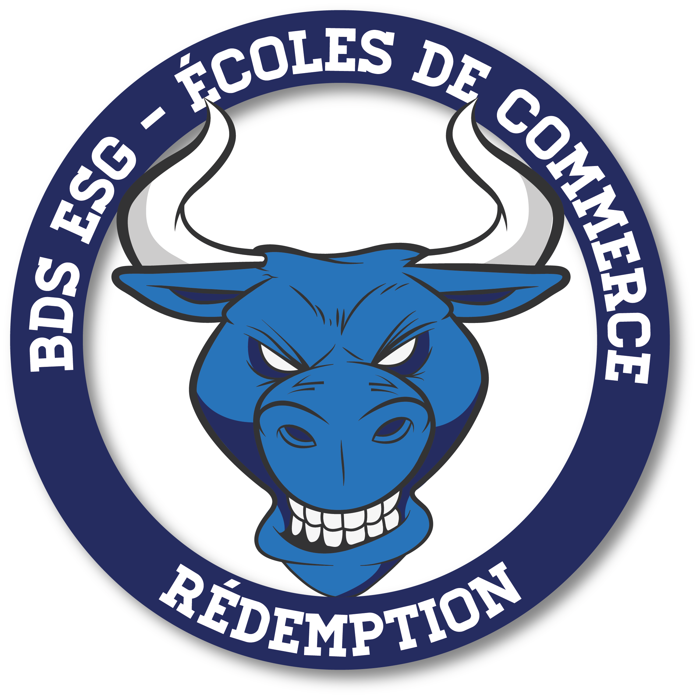 Logo Bureau Des Sports (BDS) Logo Bureau Des Sports (BDS)