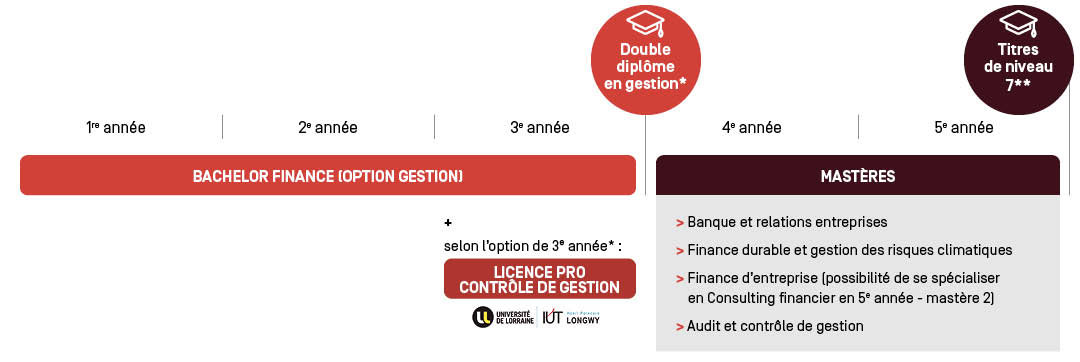 Bachelor option - Parcours d'étude