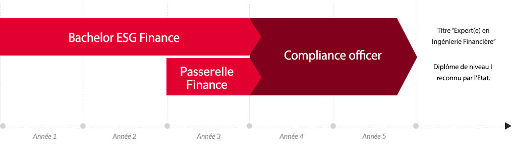 Mastère Compliance officer - Parcours d'étude