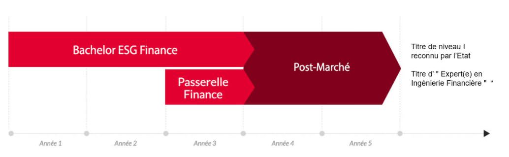 Post Marché - Parcours d'étude