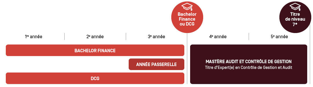 Mastère Audit et Contrôle de Gestion