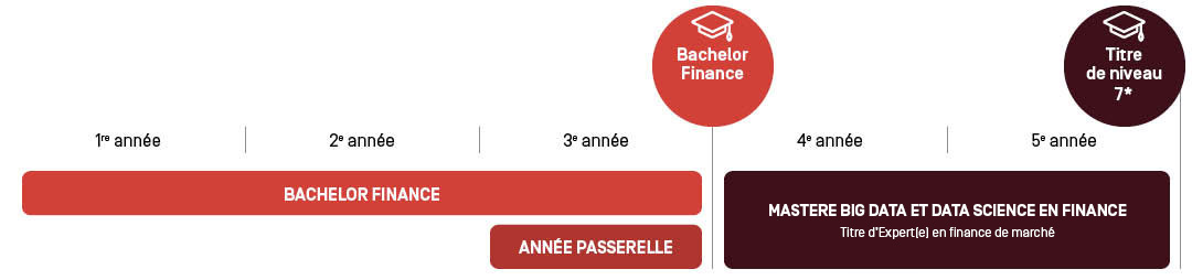 Mastère big data schéma d'études