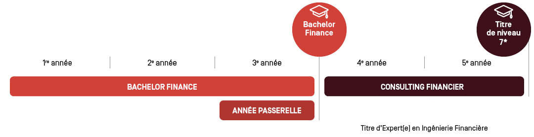 mastère consulting financier parcours d'études