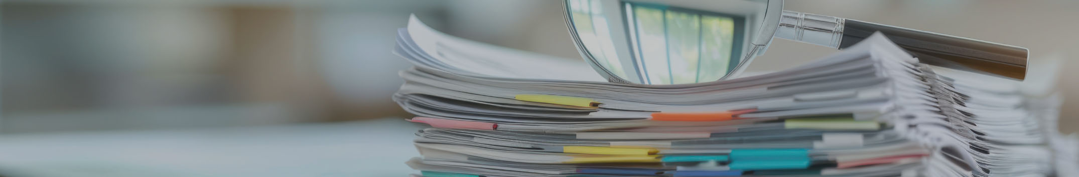 Mastère Audit et Contrôle de Gestion