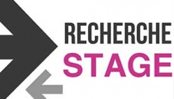 Realiser Un Stage En Entreprise Durant Son Bts Banque