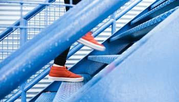 Quel parcours d’études propose le bachelor ESG Finance ?